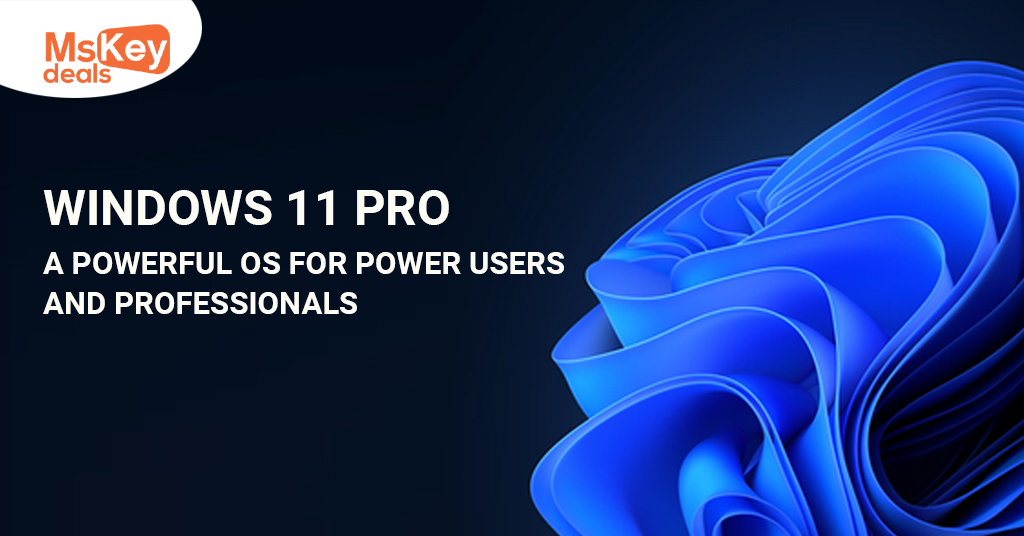 Windows 11 Pro
